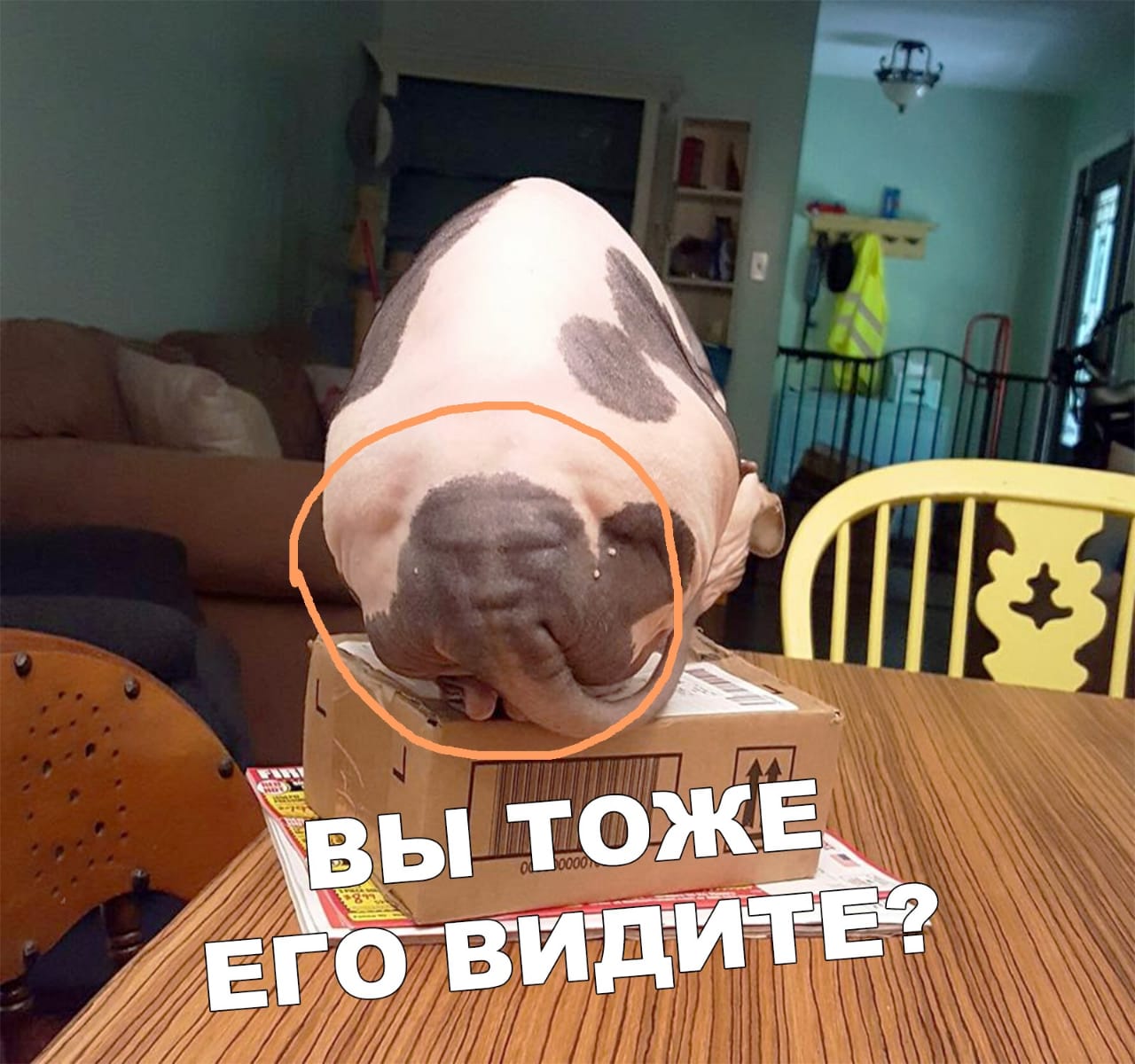 Кто ты?