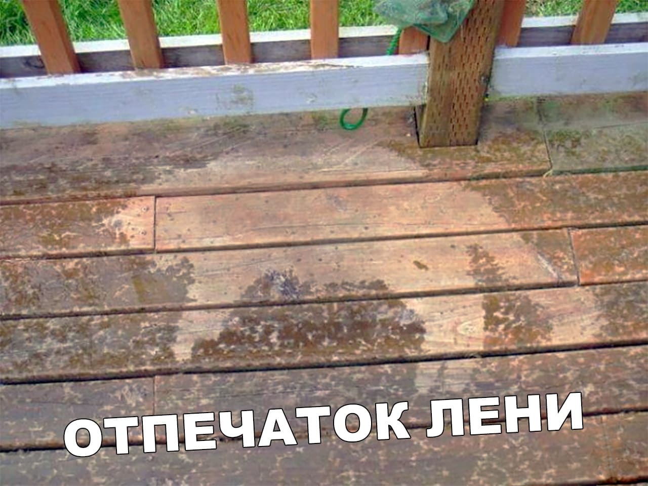 Отпечаток лени