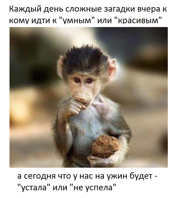 Да такие мы