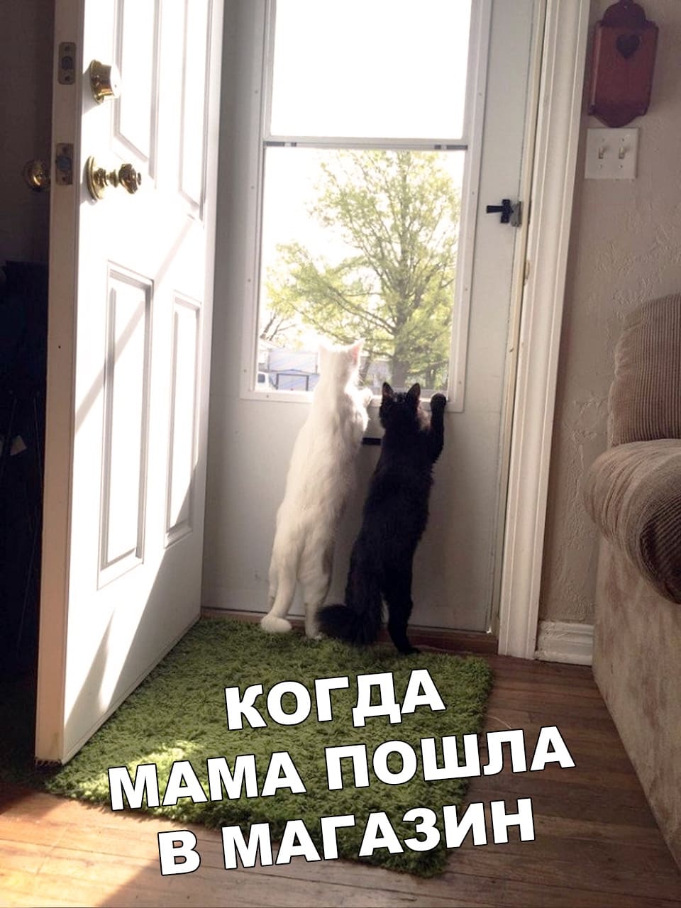 Ожидание вкусненького