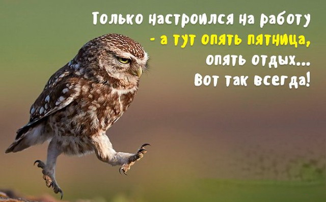 Пятница