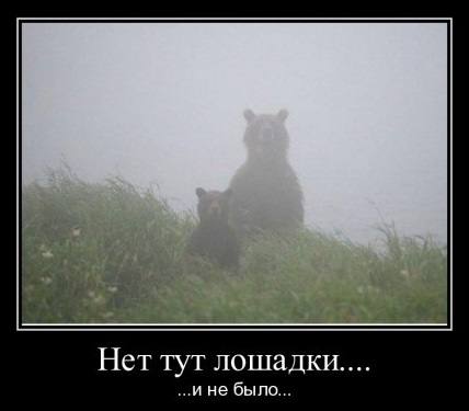 Лошадка