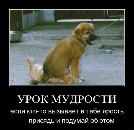 Успокой нервы