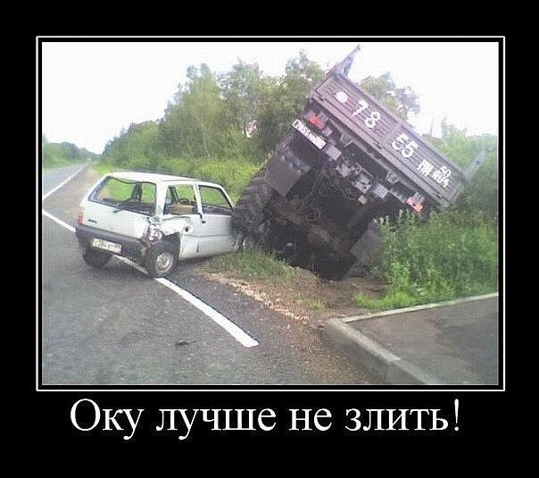 Опасная моська
