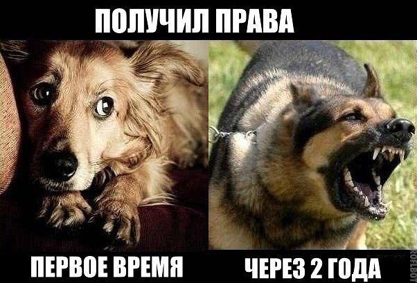 Водила