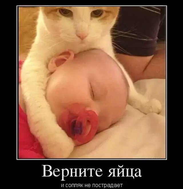 Как хотите