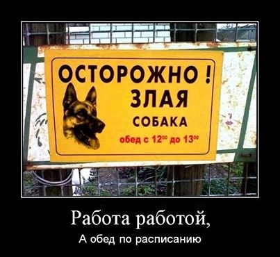 Заходите в обед