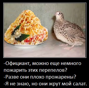 И салат замените