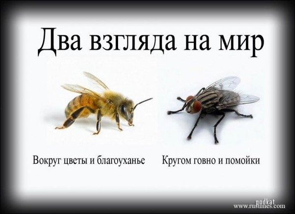 2 взгляда