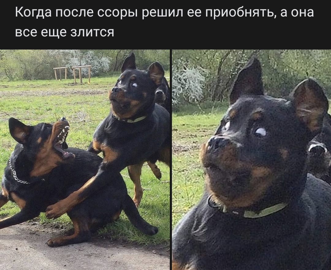 Ещё не остыла