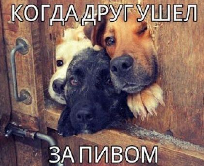 Ожидание