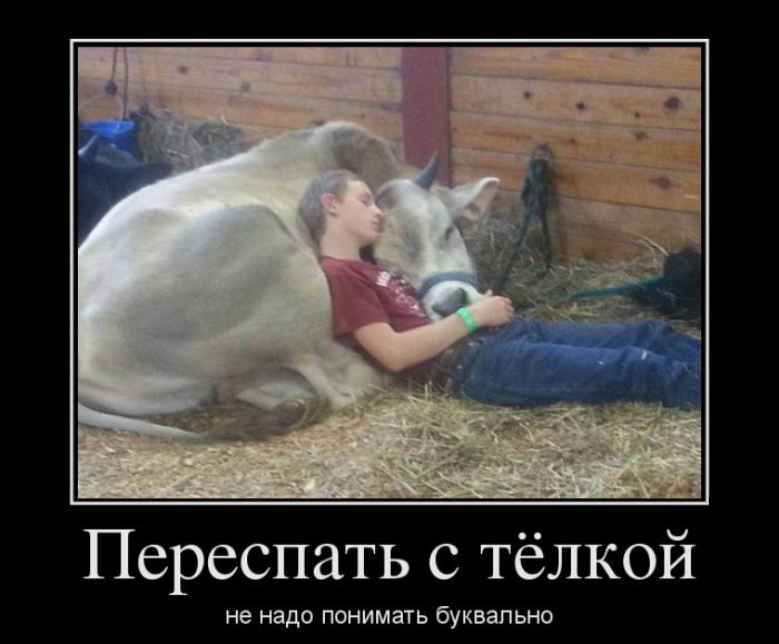 С телочкой