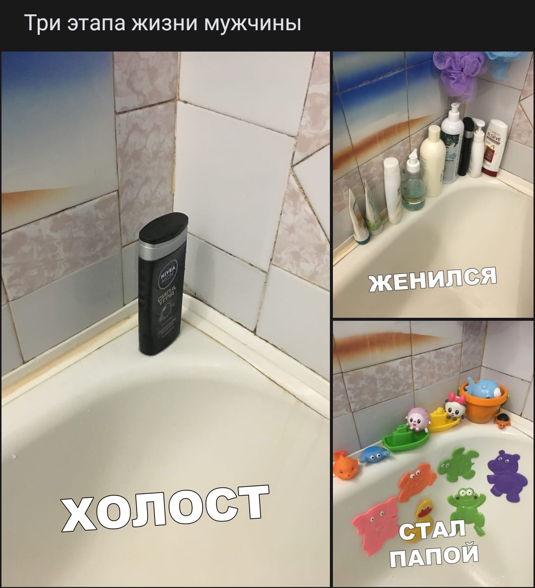 Периоды в жизни