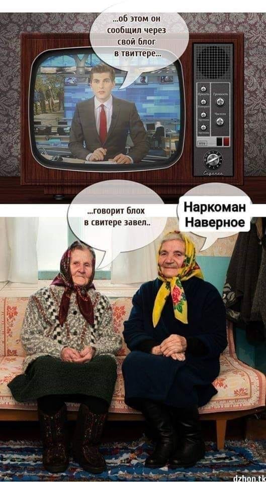 Блох в свитере завел