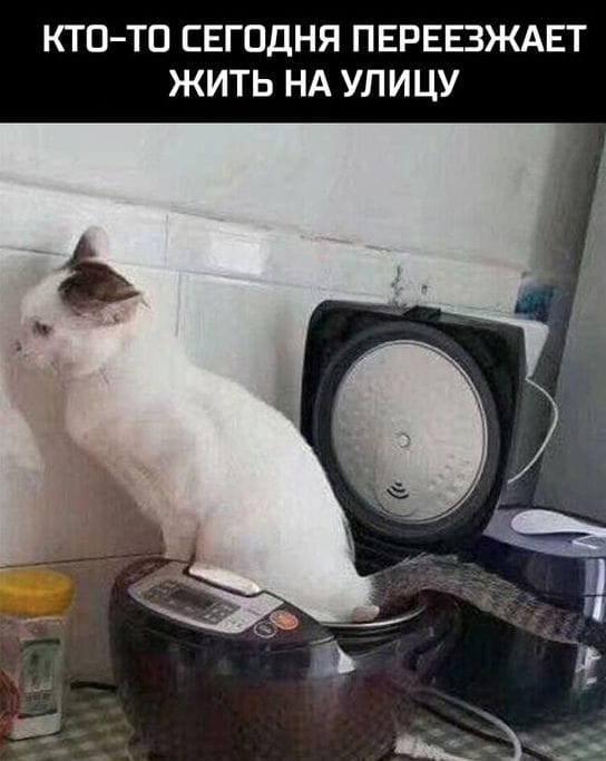 Кто-то будет жить теперь на улице