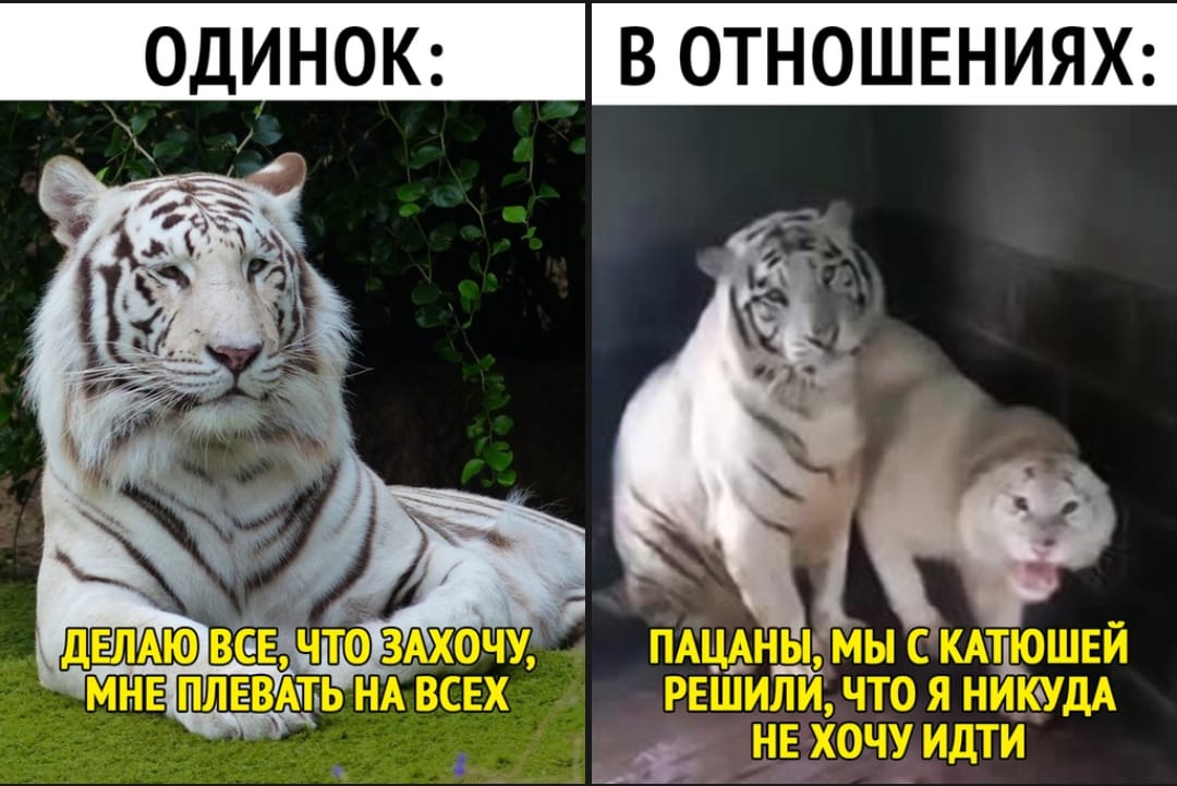 Когда ты в отношениях