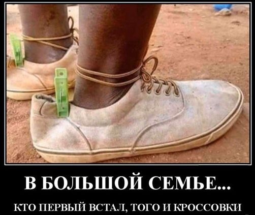 В большой семье