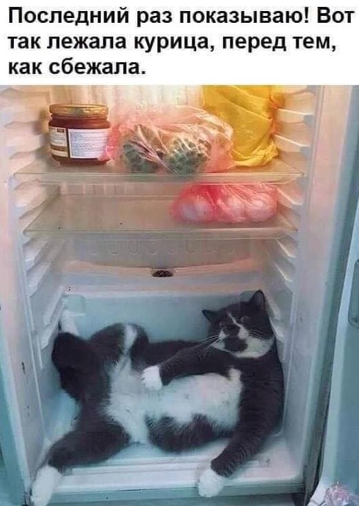 Курица была