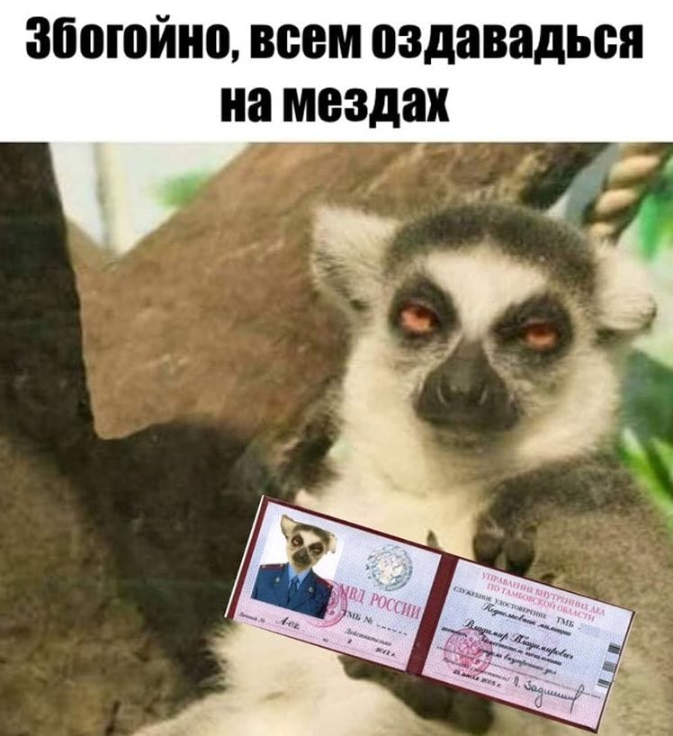 Збогойно