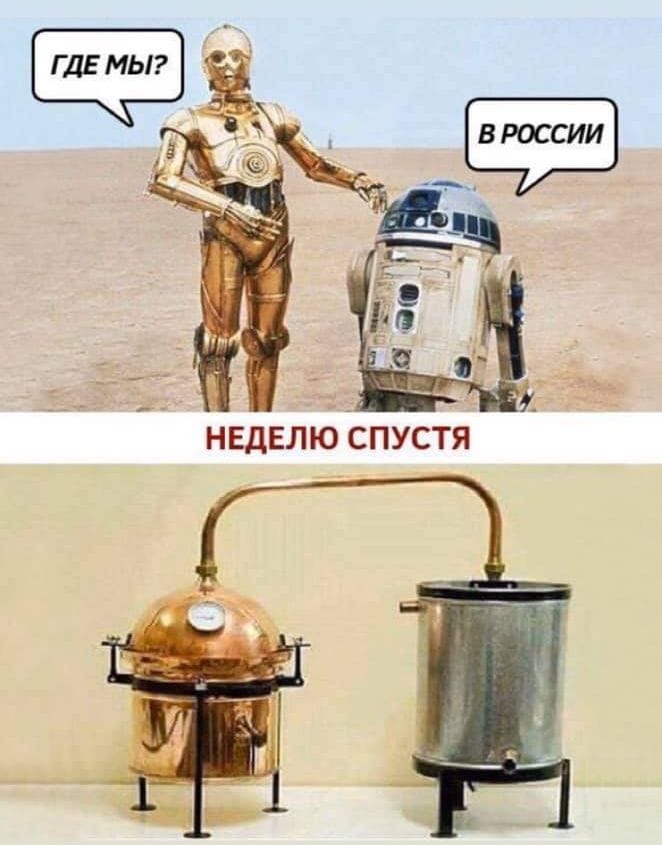 Мы в России
