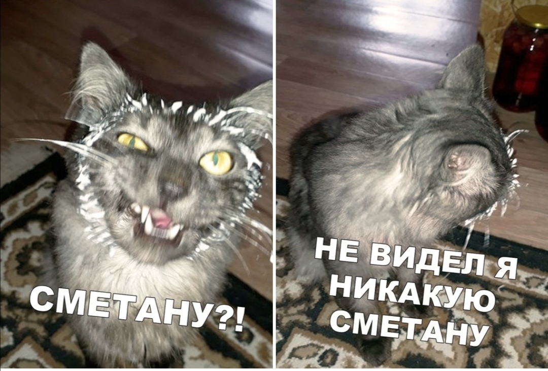 Сметану? не ... не видел