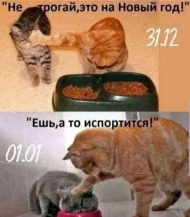 Новогоднее меню