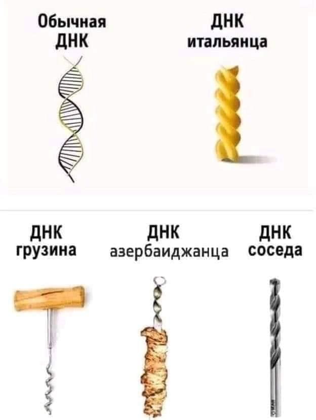Днк