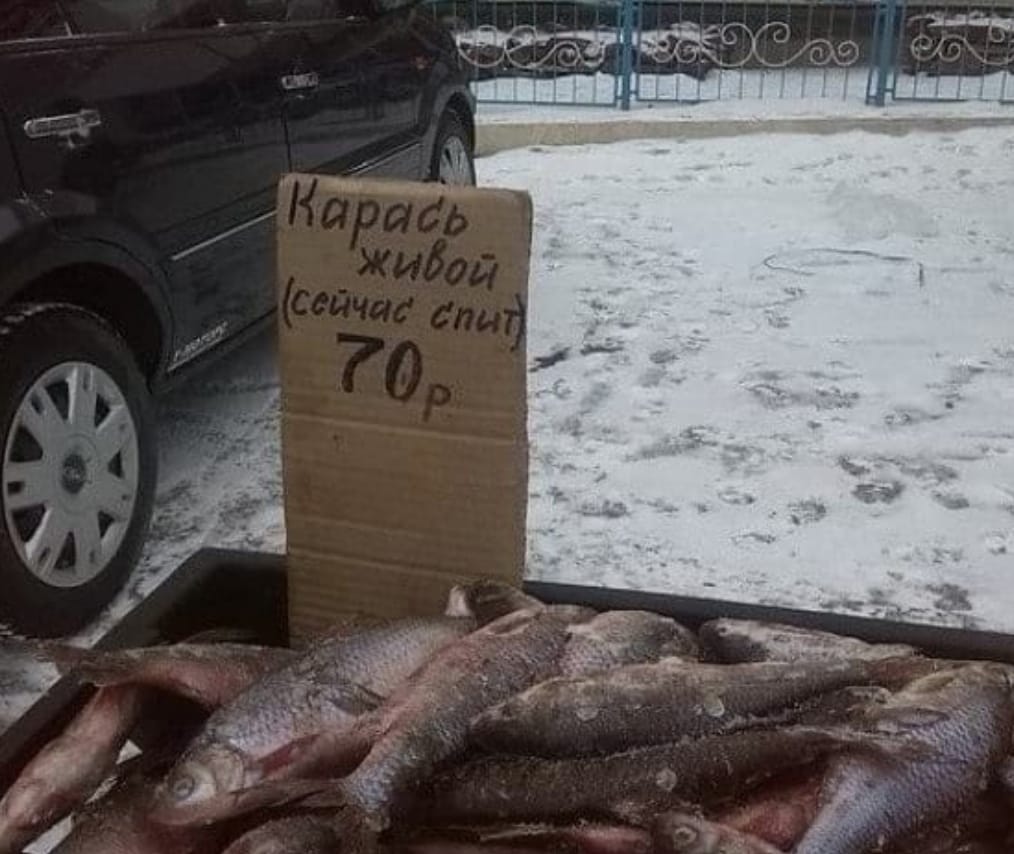 Рыба спит=