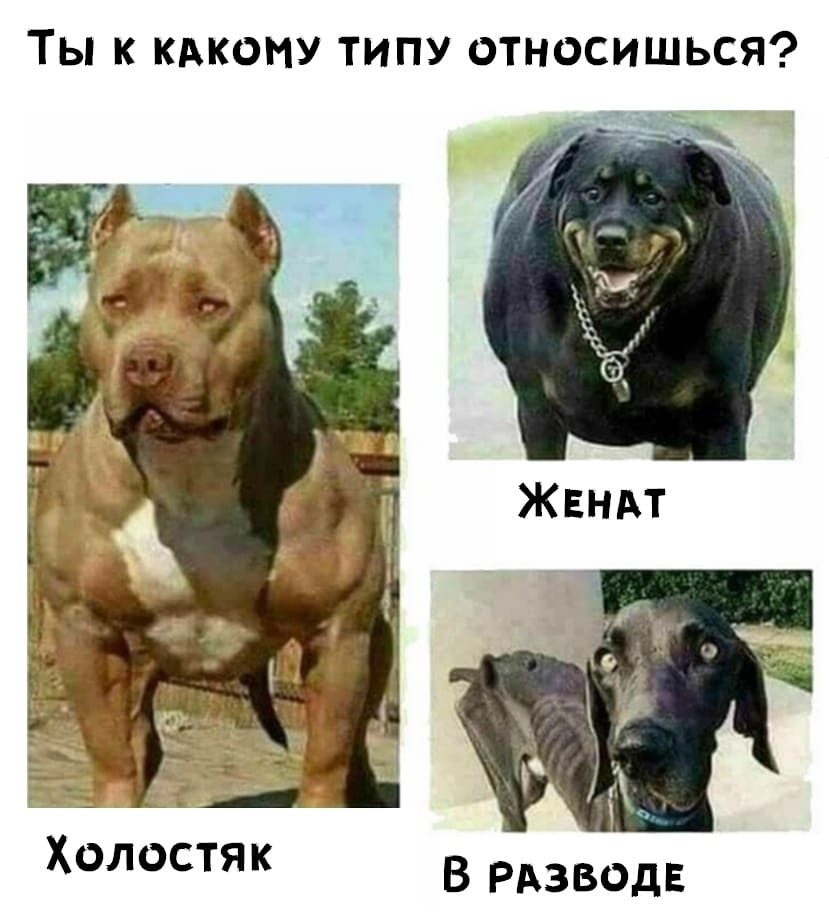 Статусы