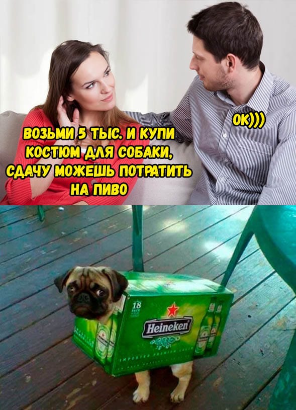 Костюм для собаки