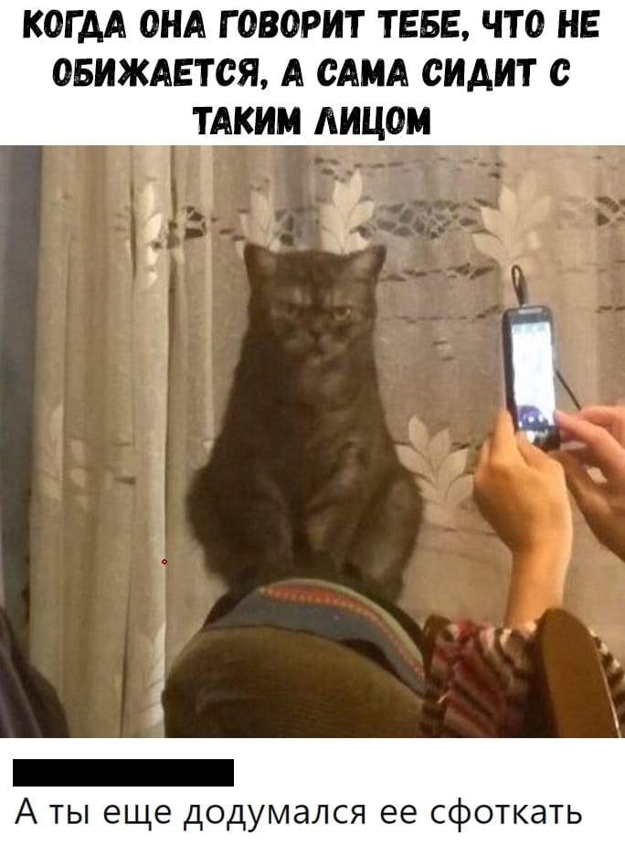 Не обижается