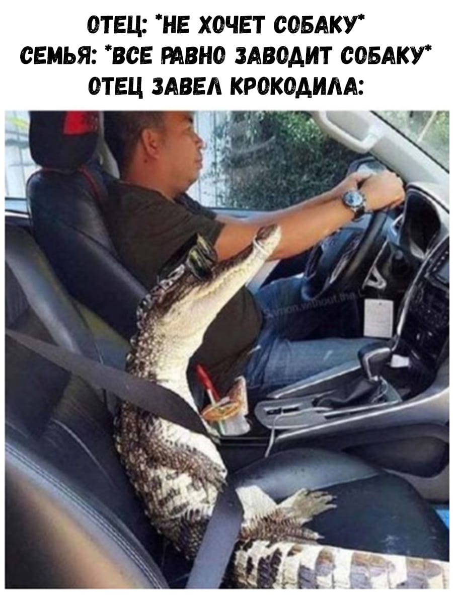 Папа завёл крокодила