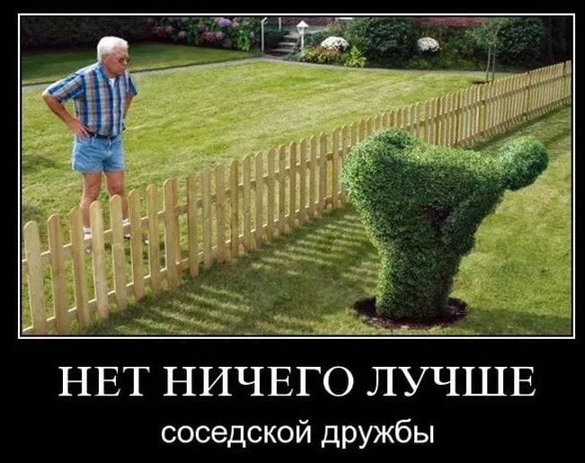 Любимым соседям