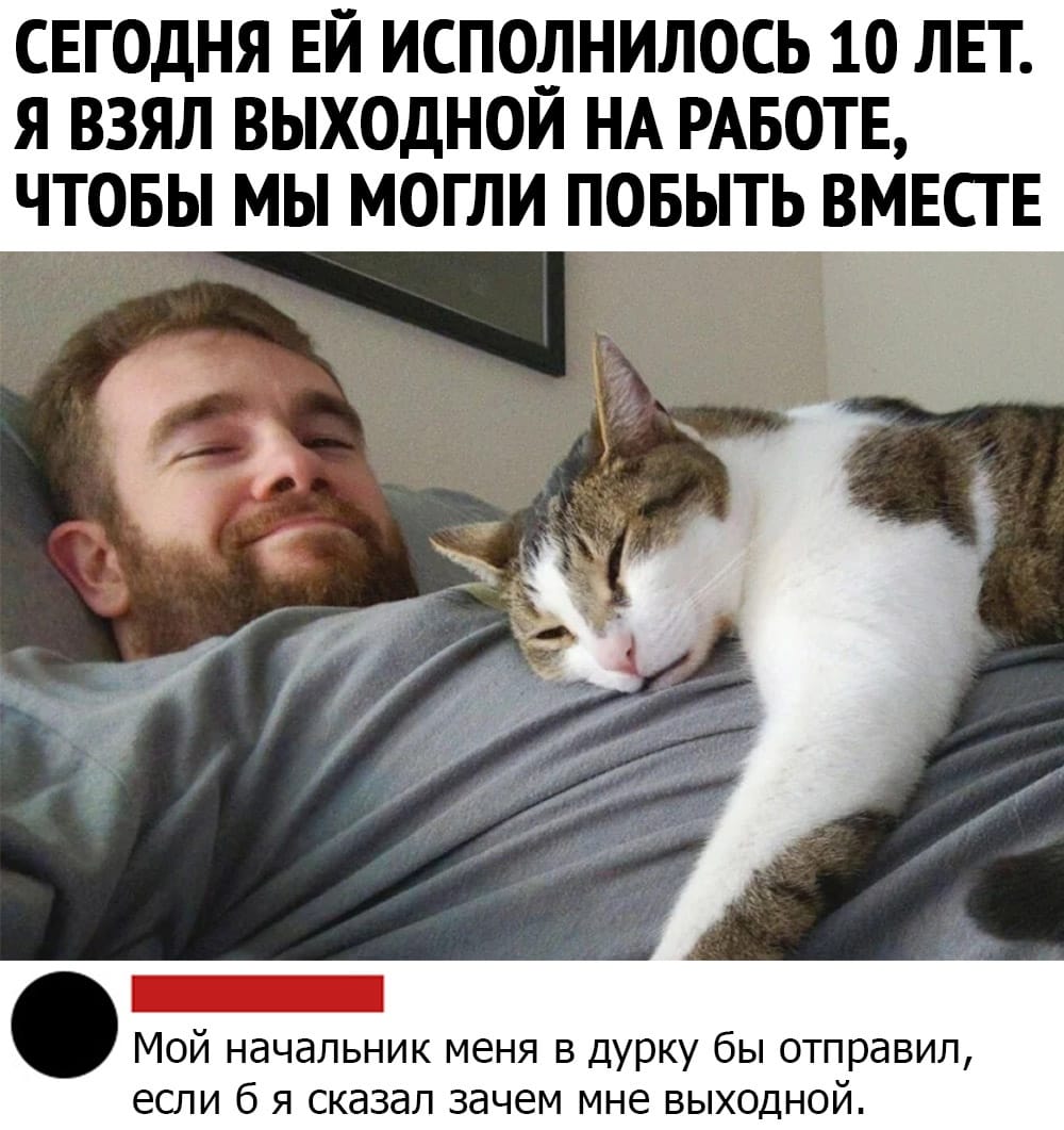 День рождение любимой