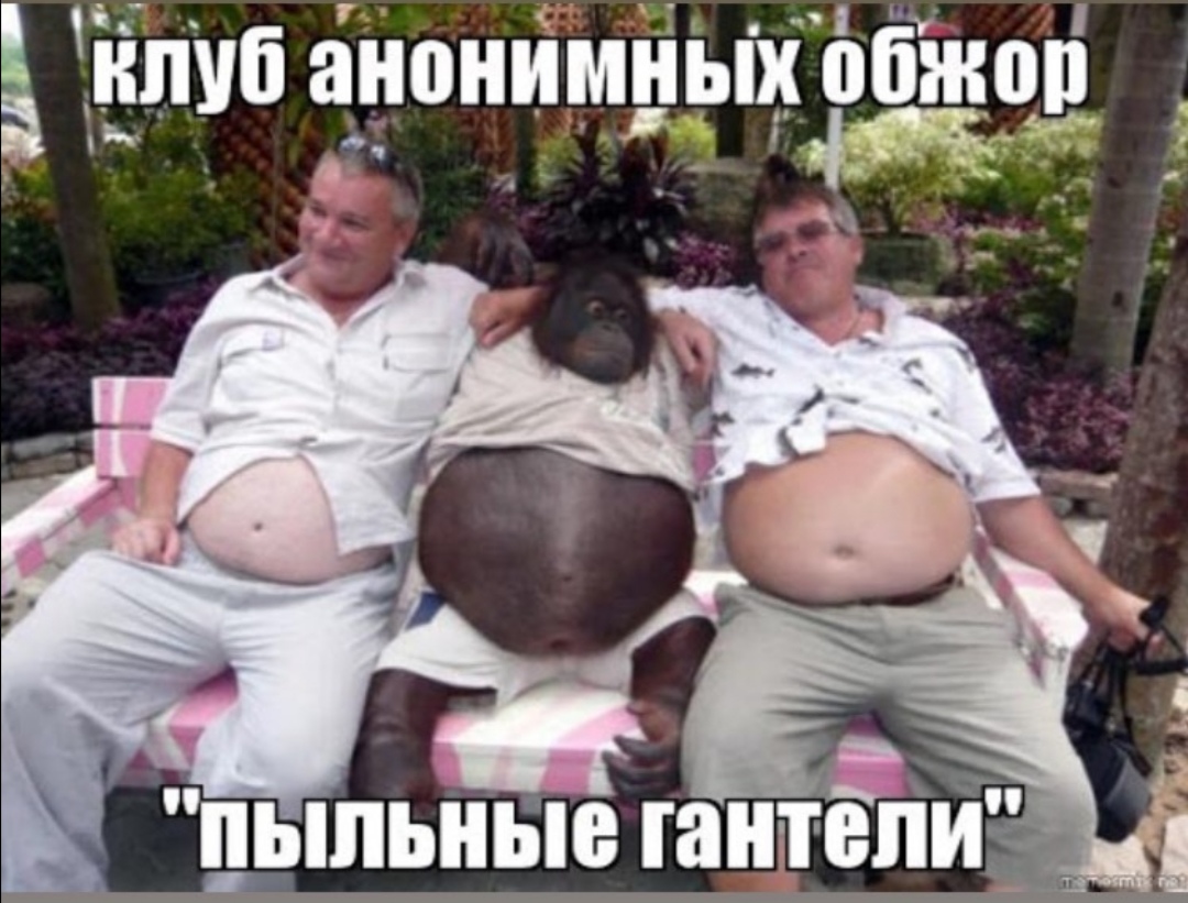 Пыльные гантели
