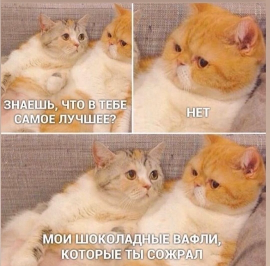 Хорошее в тебе