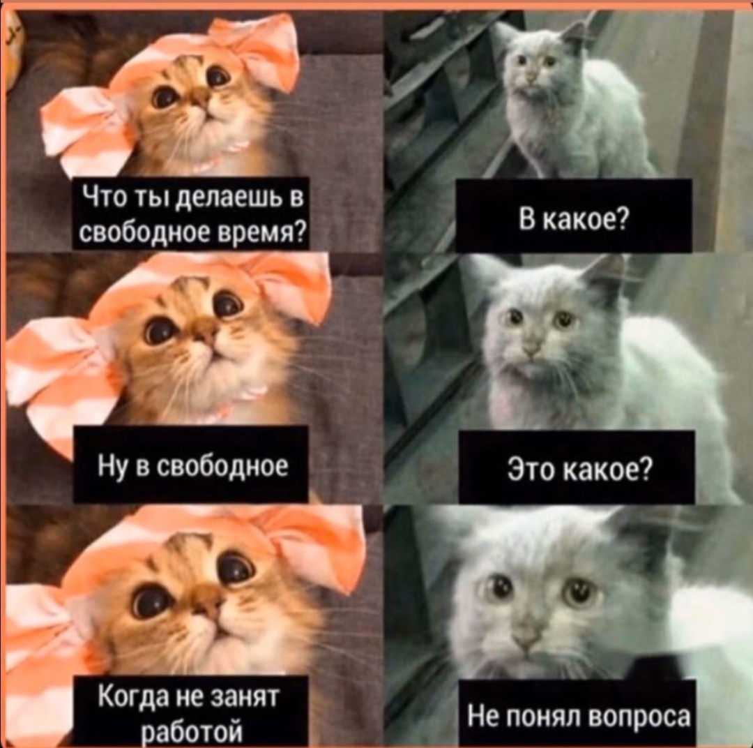 Свободное время - это как?