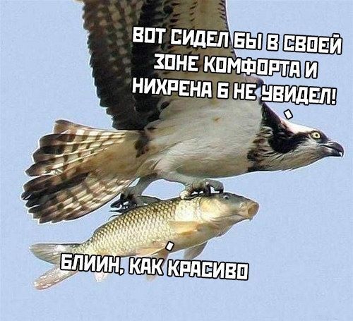 Выход из зоны комфорта