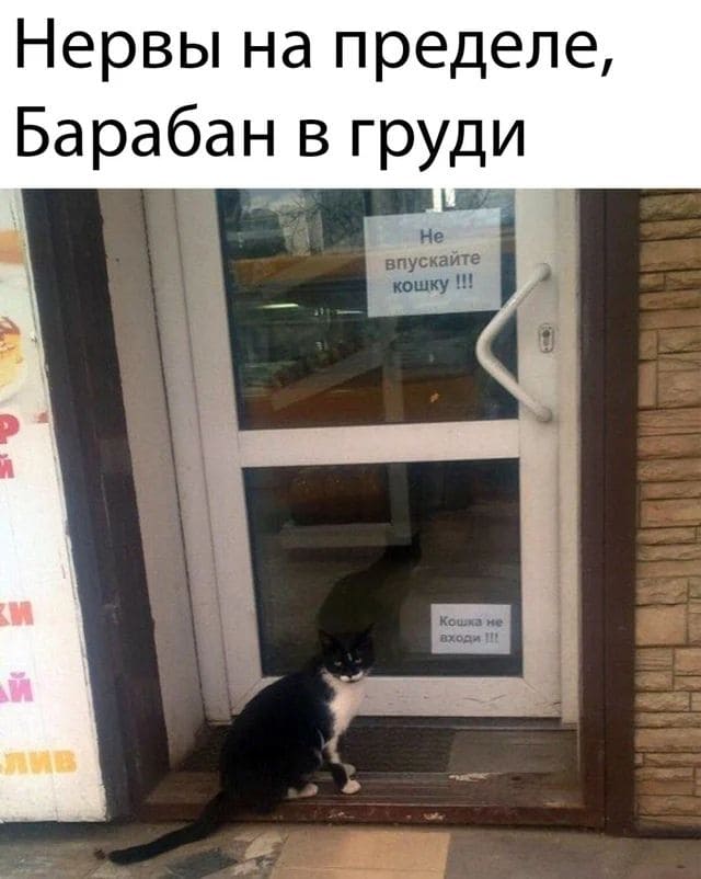 Нервы на пределе