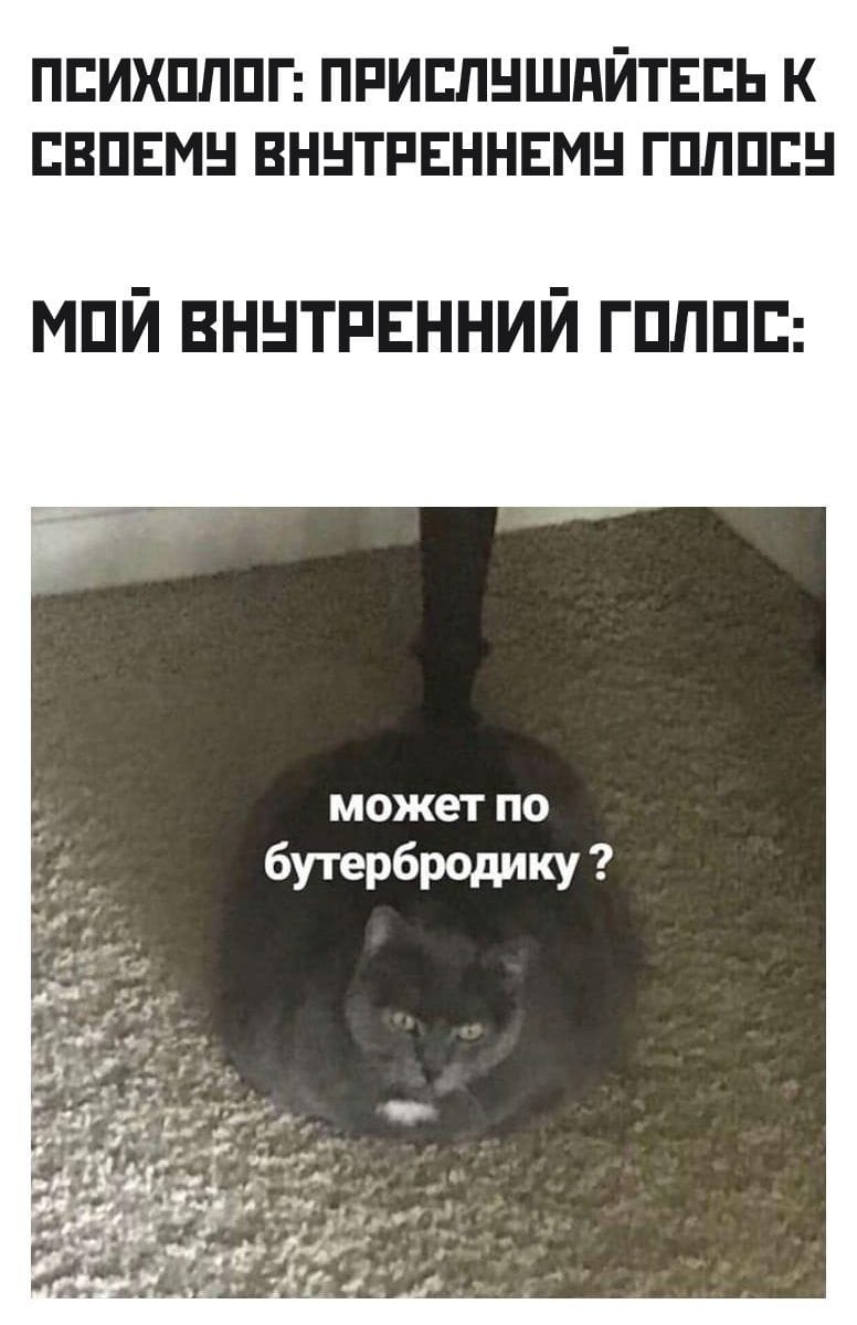Всегда прислушиваюсь