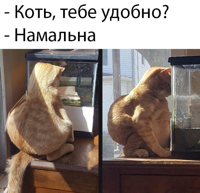 Очень удобно