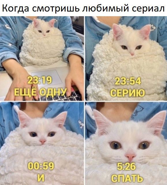 Когда очень интересно