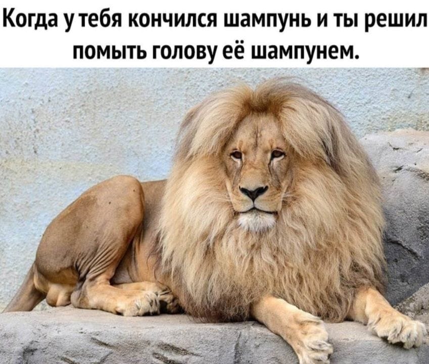 Шампунь творит чудеса