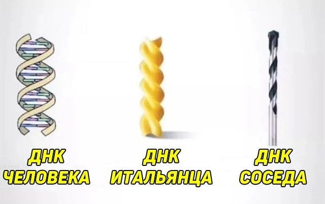 ДНК