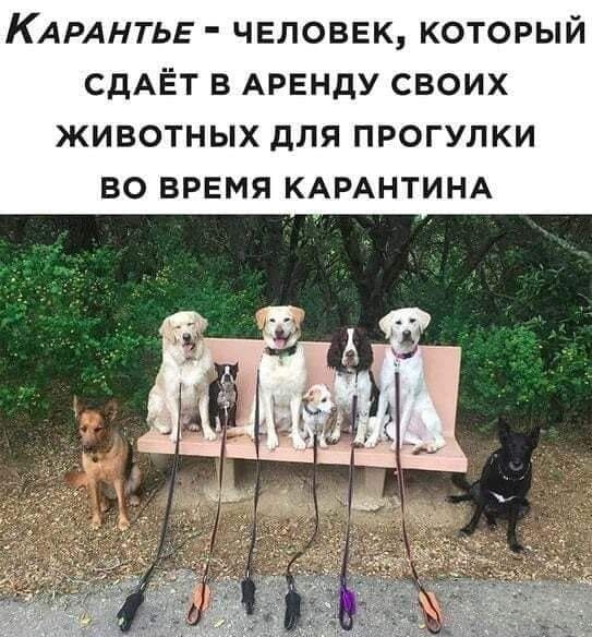 Новая профессия