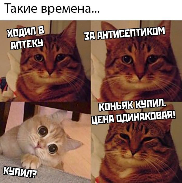 Антисептик купил