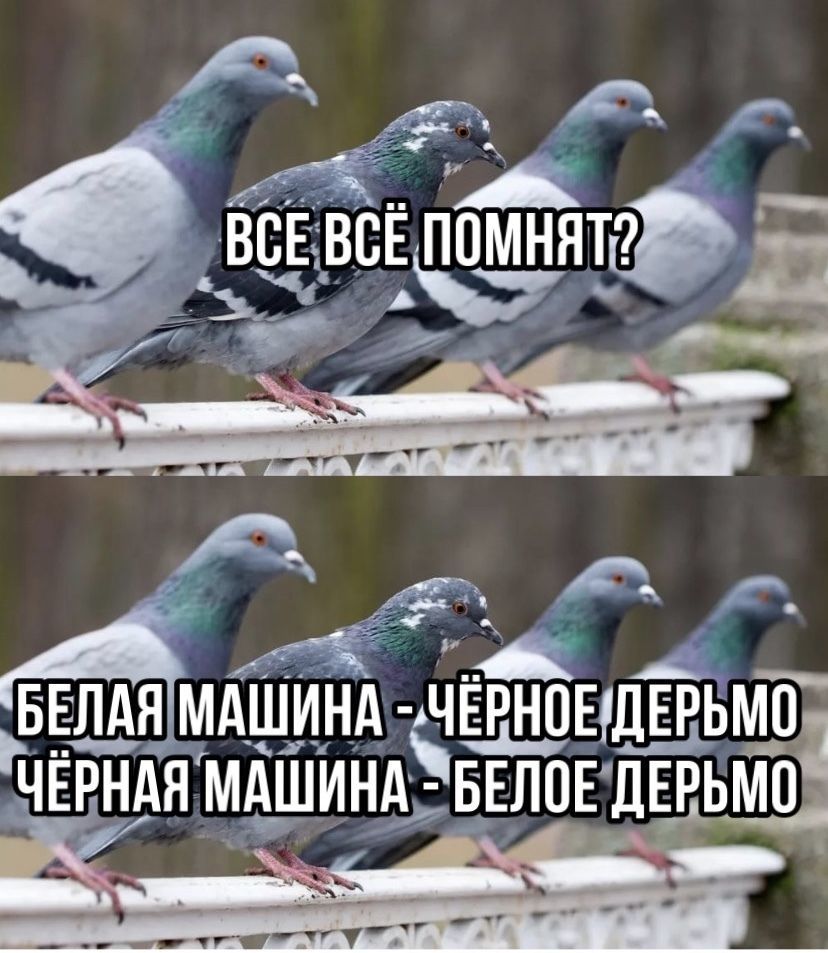 Чёрное- белая,белое-чёрная