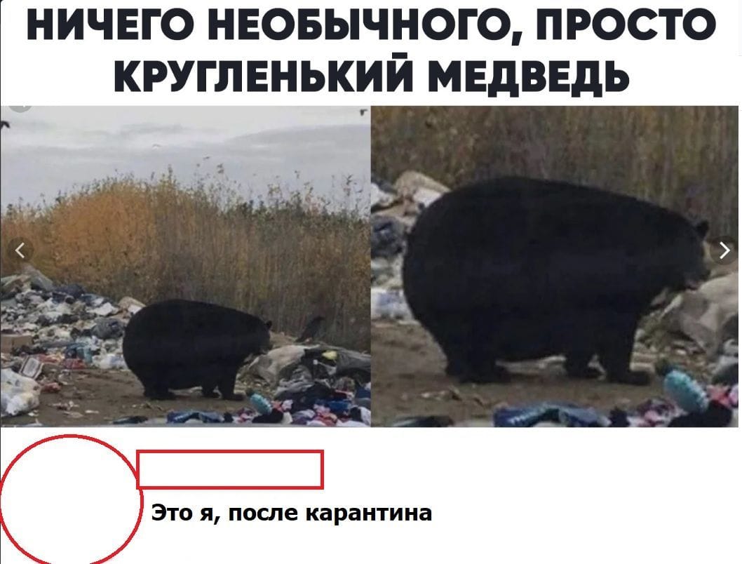 Я после карантина