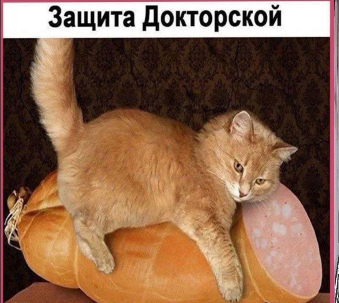 докторская
