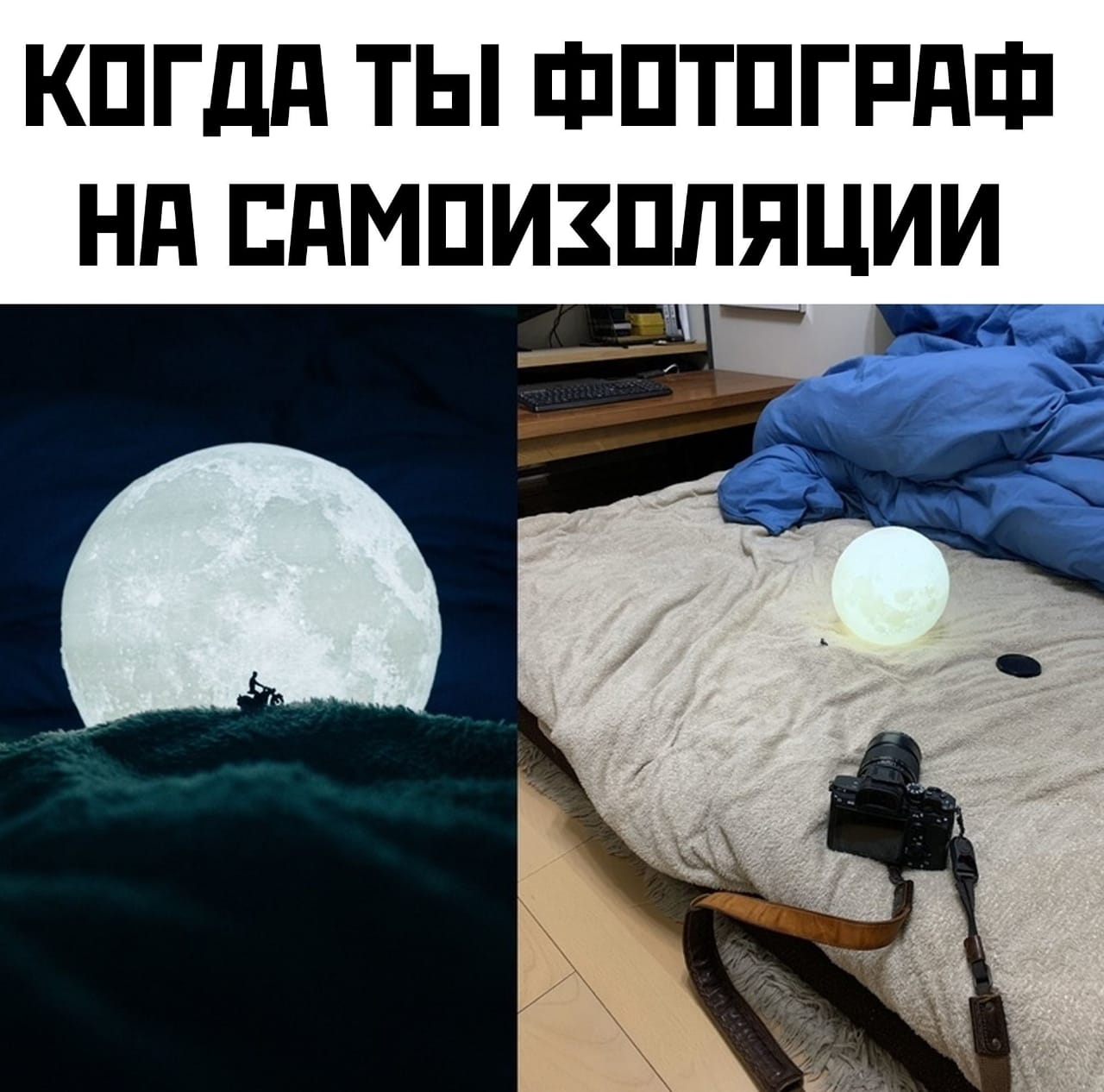 фотограф на карантине